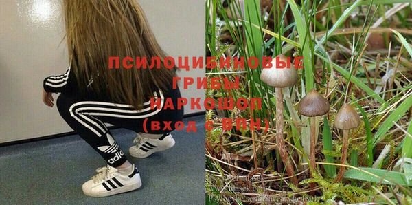 2c-b Алексеевка